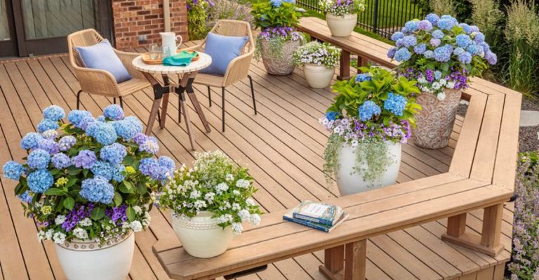 18 Plants That Make Your Porch Feel Like a Southern Living Cover