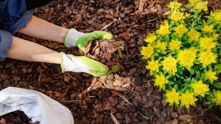18 Spring Planting Secrets That Guarantee a Blooming Explosion