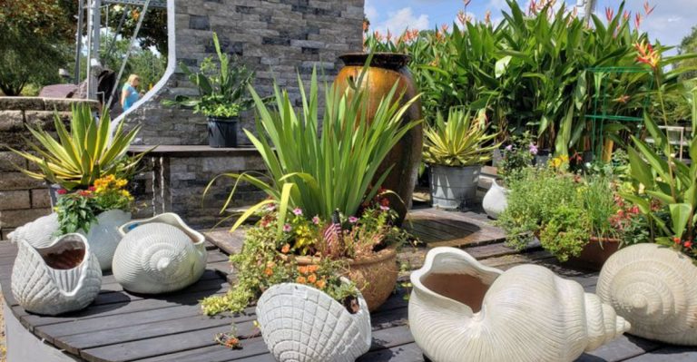 18 Ways to Create a Beachy Vibe in Your Florida Garden