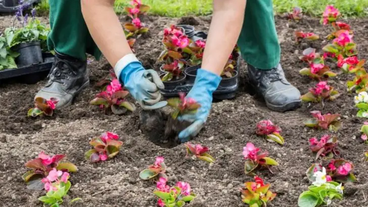 19 Gardening Fails You Need to Avoid (We’ve All Been There)