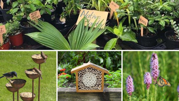 19 Wildlife-Friendly Garden Hacks to Try This Season