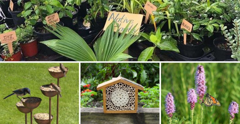19 Wildlife-Friendly Garden Hacks to Try This Season