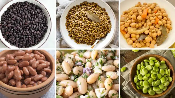 20 Delicious and Nutritious Bean Types to Grow at Home