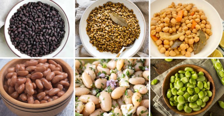 20 Delicious and Nutritious Bean Types to Grow at Home