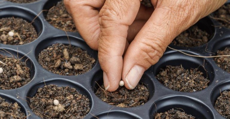 20 Gardening Hacks for Surviving Minnesota’s 100-Day Growing Season
