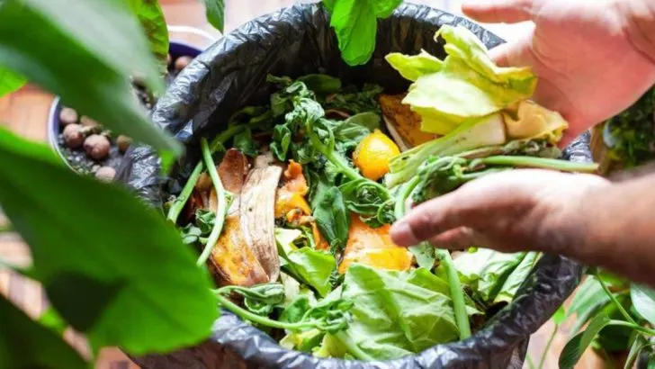 20 Gardening Shortcuts That Actually Work