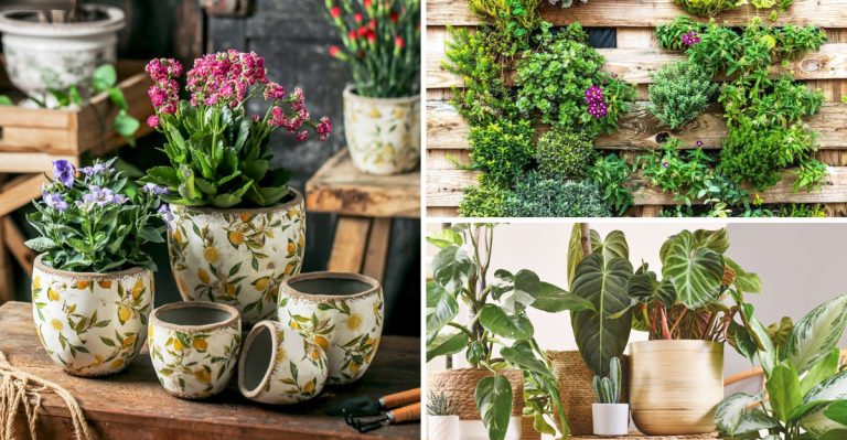 20 Indoor Gardening Tips for April That Bring Spring Inside