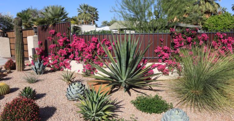 20 Landscaping Ideas to Make Your Texas Ranch Look Luxe