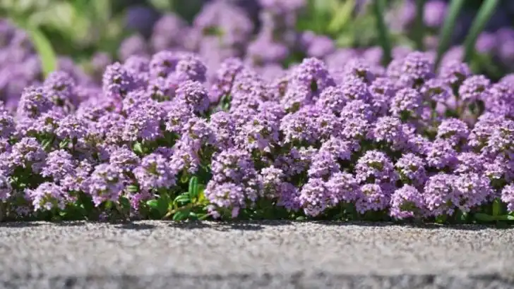 20 Outdoor Plants That Are Impossible To Kill