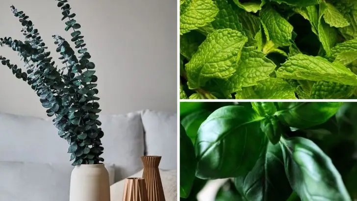 21 Flowers and Plants That Will Keep Mosquitoes and Other Bugs Away