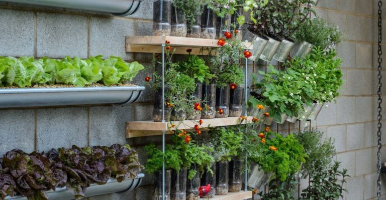 21 Low-Cost Ideas For Growing Your Garden