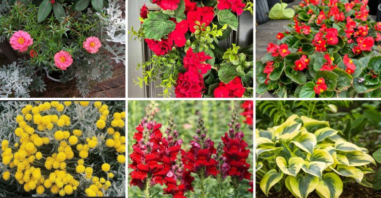 21 Plants That Won’t Attract Bees