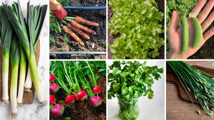 21 Vegetables and Herbs to Plant in March for a Bountiful Harvest