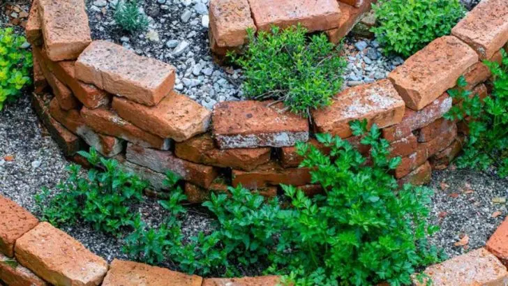 22 Amazing Landscaping Ideas That Won’t Break the Bank