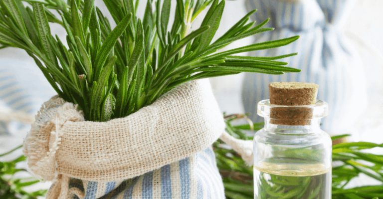 22 Edible Plants That Double as Natural Beauty Products