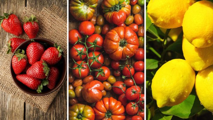 22 Fruits You Can Grow at Home, No Matter How Small Your Space