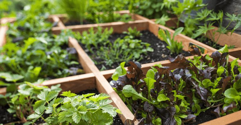 22 Gardening Rules That Experts Say You Should Break