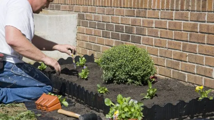 22 Landscape No-No’s and How to Fix Them