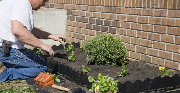 22 Landscape No-No’s and How to Fix Them
