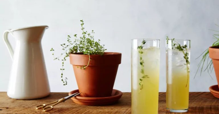 22 Plants That Pair Perfectly with Your Favorite Cocktails
