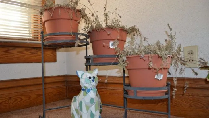 22 Things That Make Your Porch Look Neglected and Uninviting