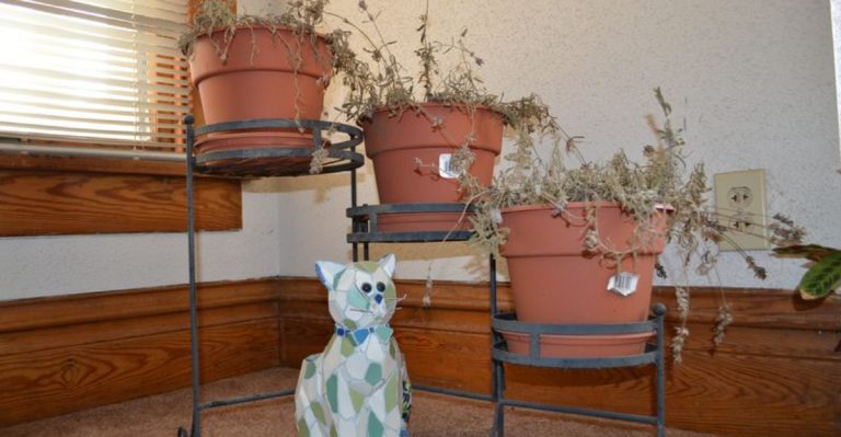 22 Things That Make Your Porch Look Neglected and Uninviting