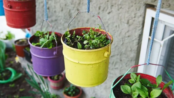 23 Garden Ideas So Cool, You’ll Wish You Had More Space