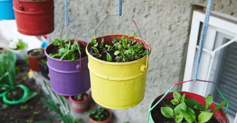23 Garden Ideas So Cool, You’ll Wish You Had More Space
