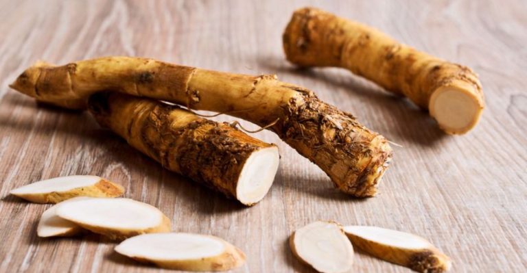 23 Hardy Herbs That Survive Harsh Winters and Keep Coming Back