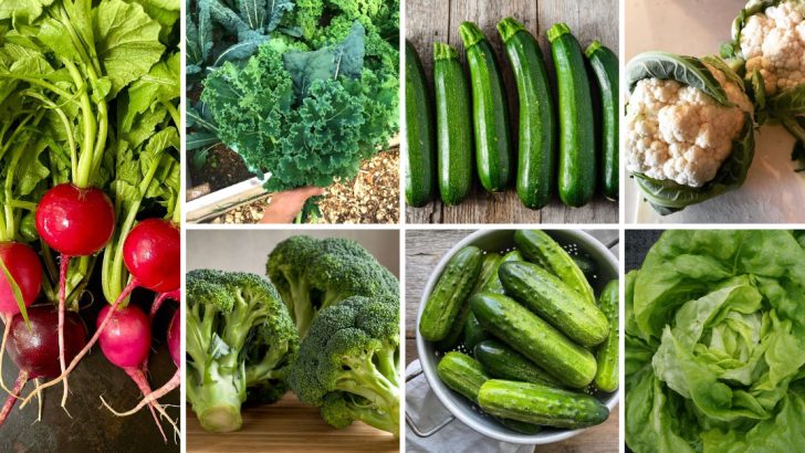 23 Veggies To Grow In Your Keto-Friendly Garden