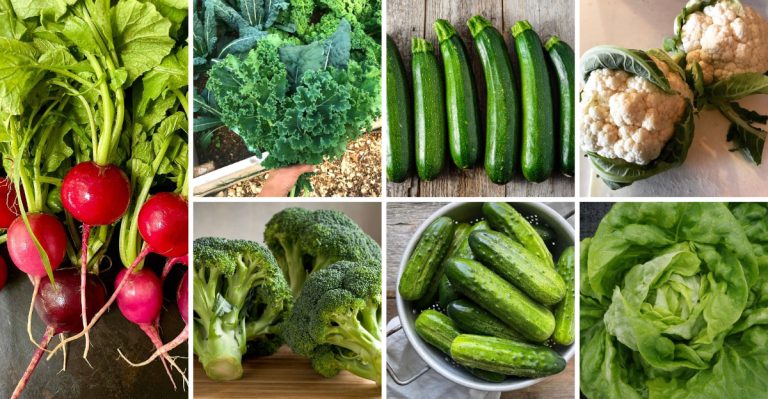 23 Veggies To Grow In Your Keto-Friendly Garden