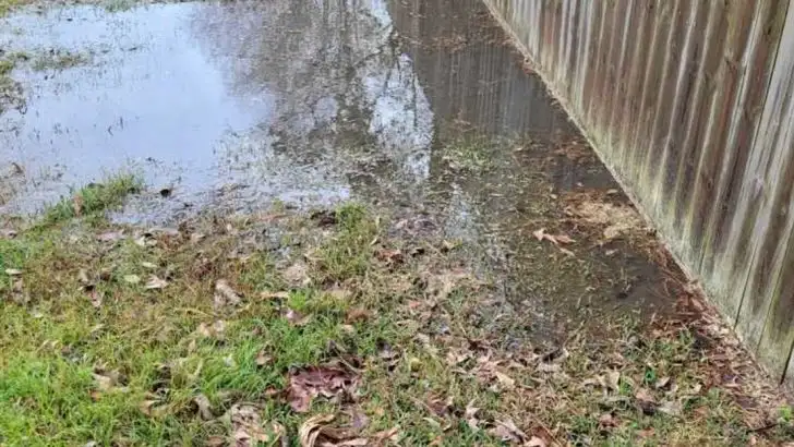 23 Biggest Backyard Design Mistakes You’ll Regret (Unless You Avoid Them)