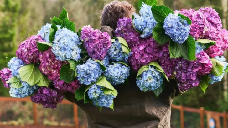 24 Flowers That Instantly Add Romance to Any Garden