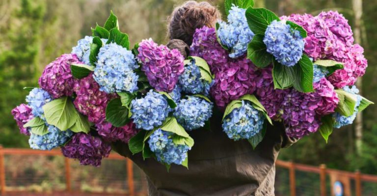 24 Flowers That Instantly Add Romance to Any Garden