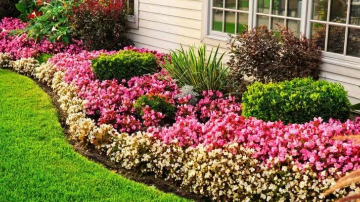 24 Perfect Front Yard Landscaping Ideas For Spring