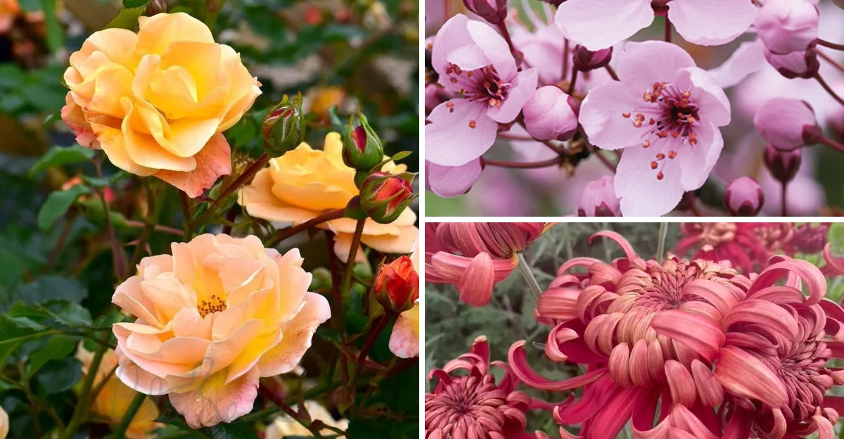 striking-flowers-that-will-define-garden-trends-in-2025