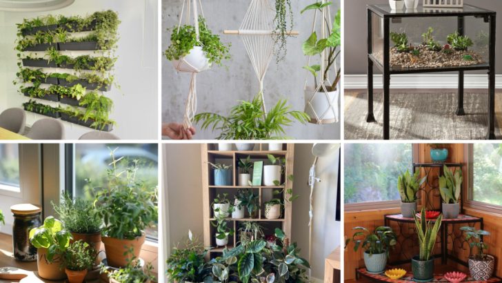 25 Inspiring Ways To Arrange And Display Indoor Plants