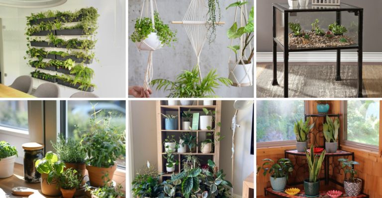 25 Inspiring Ways To Arrange And Display Indoor Plants