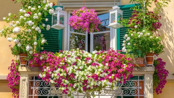 27 Most Gorgeous Balcony Garden Ideas You’ll Want to Try This Year