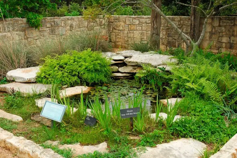 4. Create a Toad Abode