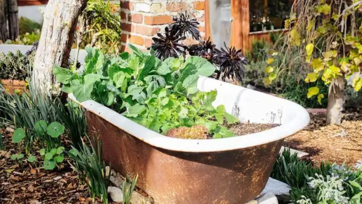 7 Popular Ways to Grow Potatoes (and the Results You Can Expect)