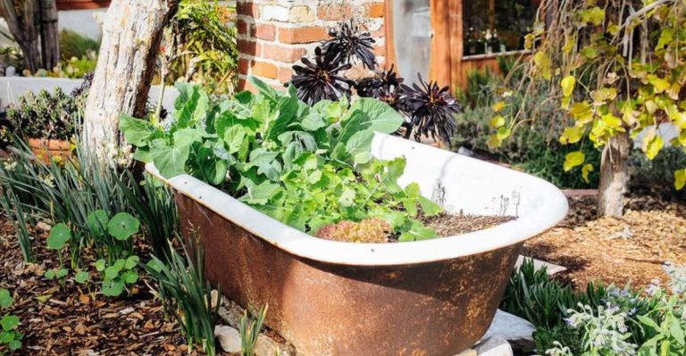 7 Popular Ways to Grow Potatoes (and the Results You Can Expect)