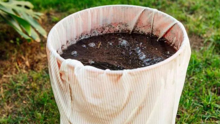 11 Simple Gardening Hacks That Will Double Your Harvest This Year