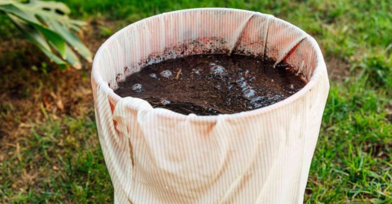 11 Simple Gardening Hacks That Will Double Your Harvest This Year