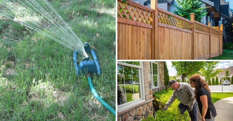 effective-methods-for-getting-rid-of-muskrats-in-your-yard-when-you-need-to