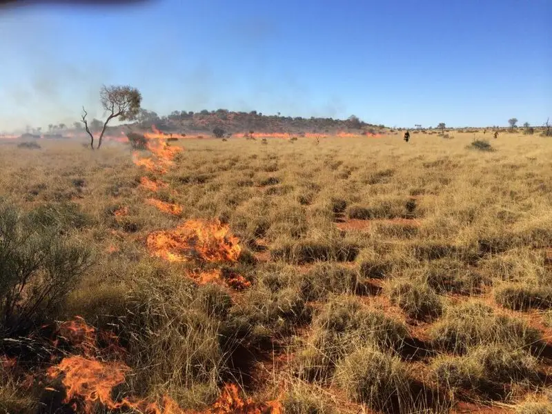 Aboriginal Fire-Stick Farming