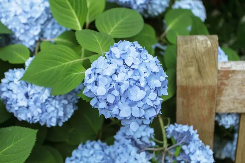 Adjust Care for Seasons