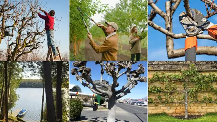 16 Advanced Pruning Techniques to Sculpt Your Trees and Shrubs Like a Pro