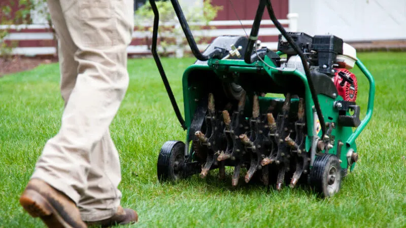 Aerate the Lawn