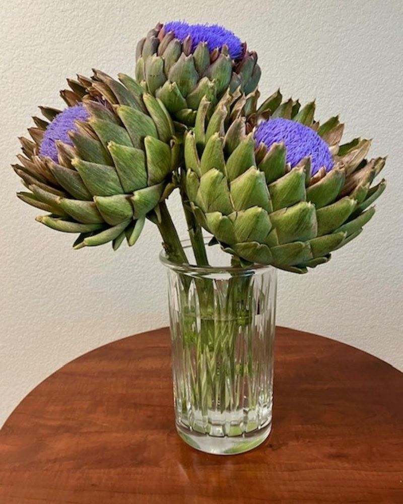 Artichoke